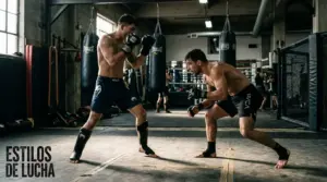 Factores de Análisis para Apuestas UFC: Más Allá del Récord