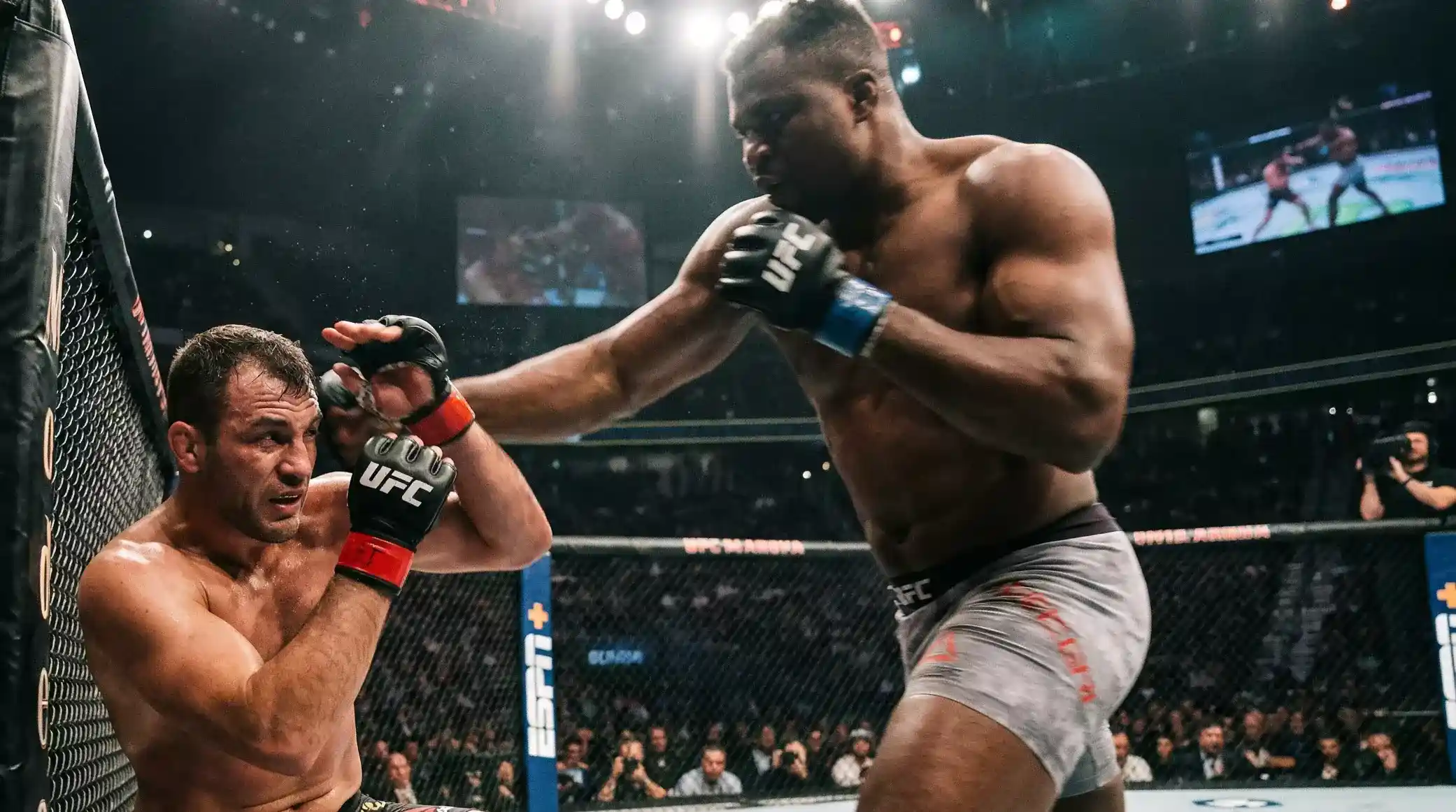 Estrategias para apostar a underdogs en UFC