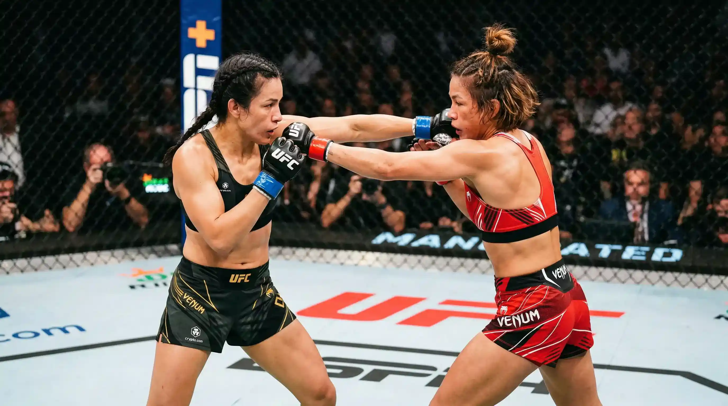 Apuestas en Divisiones Femeninas UFC: Guía Completa