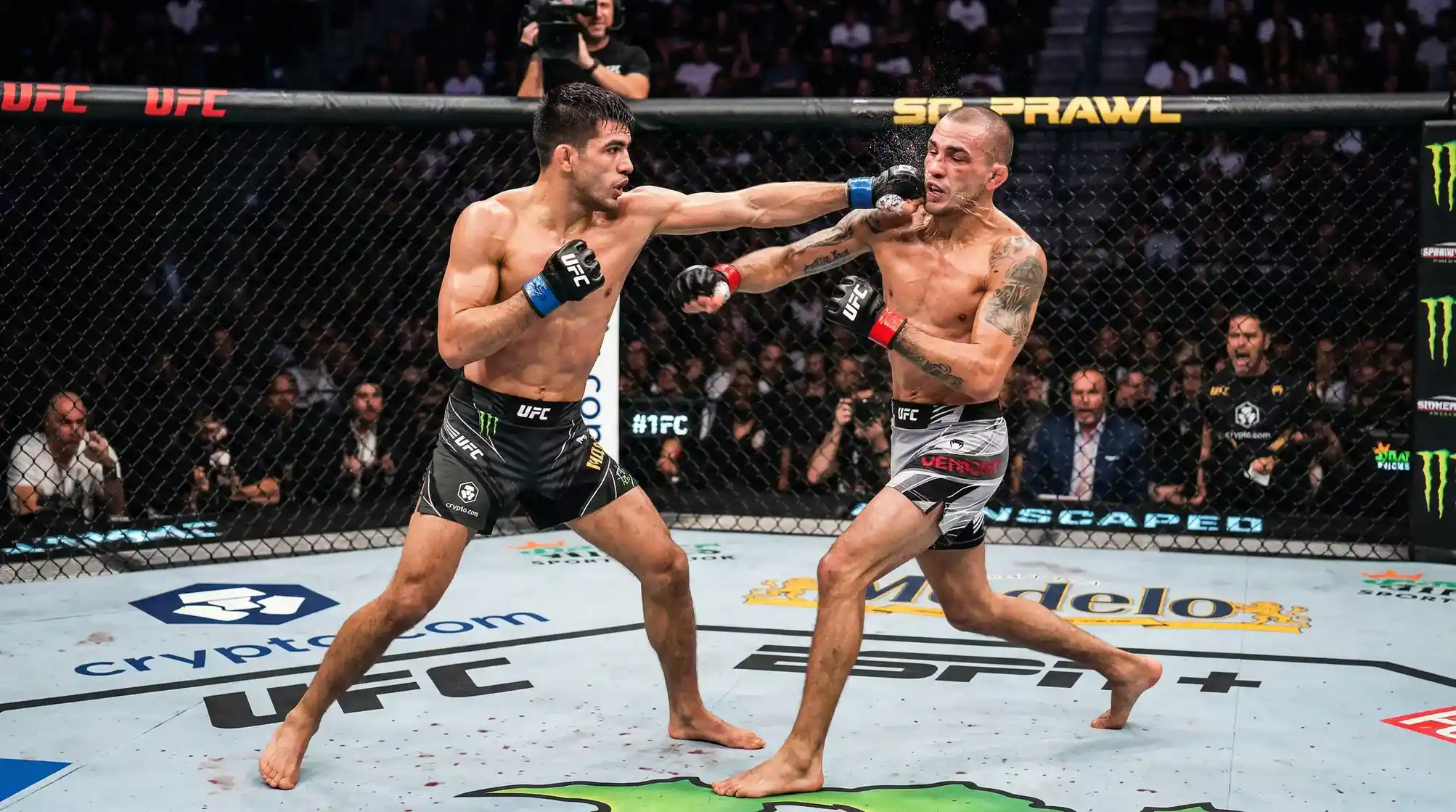 Apuestas en Peso Pluma UFC: División de Técnica y Velocidad