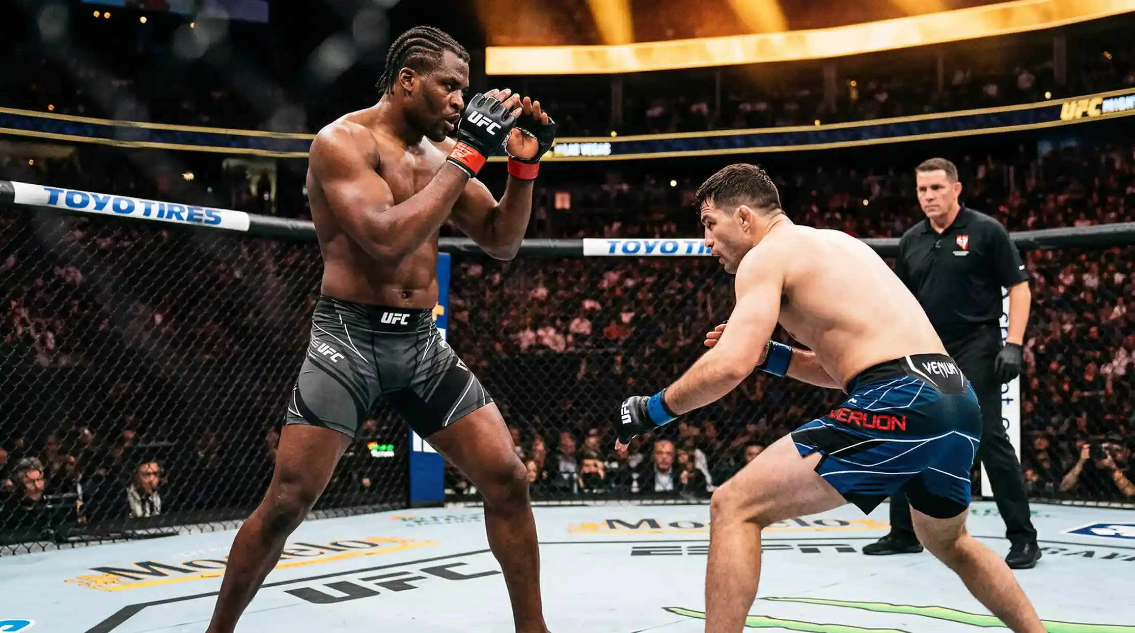 Striker vs Grappler en UFC: Cómo Analizar el Matchup